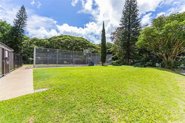 a view of a backyard with a garden and plants