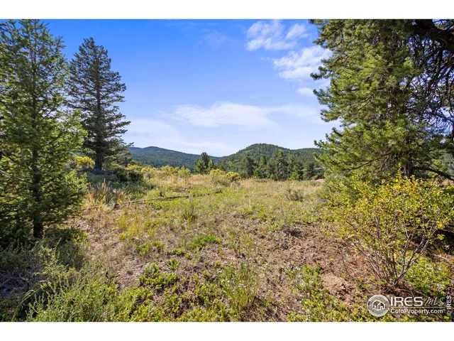 a view of a yard with a tree