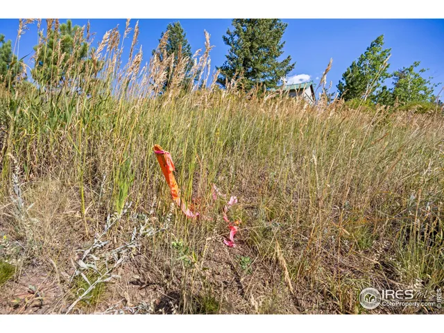 a view of outdoor space