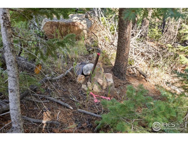 $249,000 | 134 Hurricane Hill Drive, Nederland, CO 80466