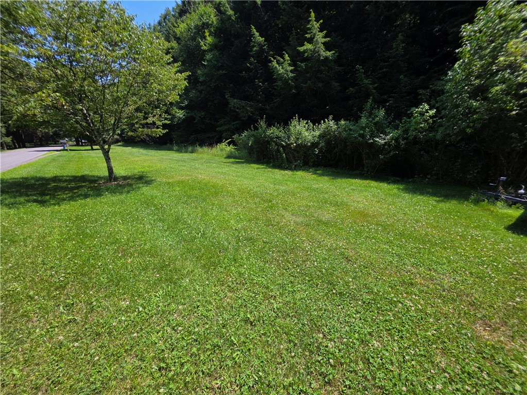 219 Lulu Coon Road Unadilla, NY 13849 - Photo 32 of 40