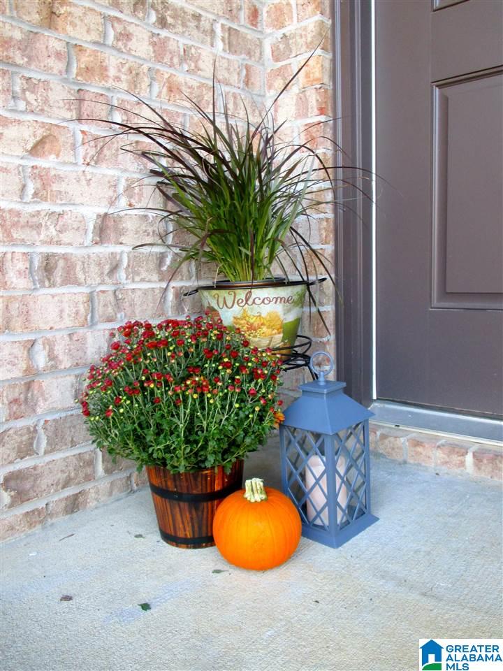 348 Chesser Loop Circle Chelsea, AL 35043 - Photo 2 of 24