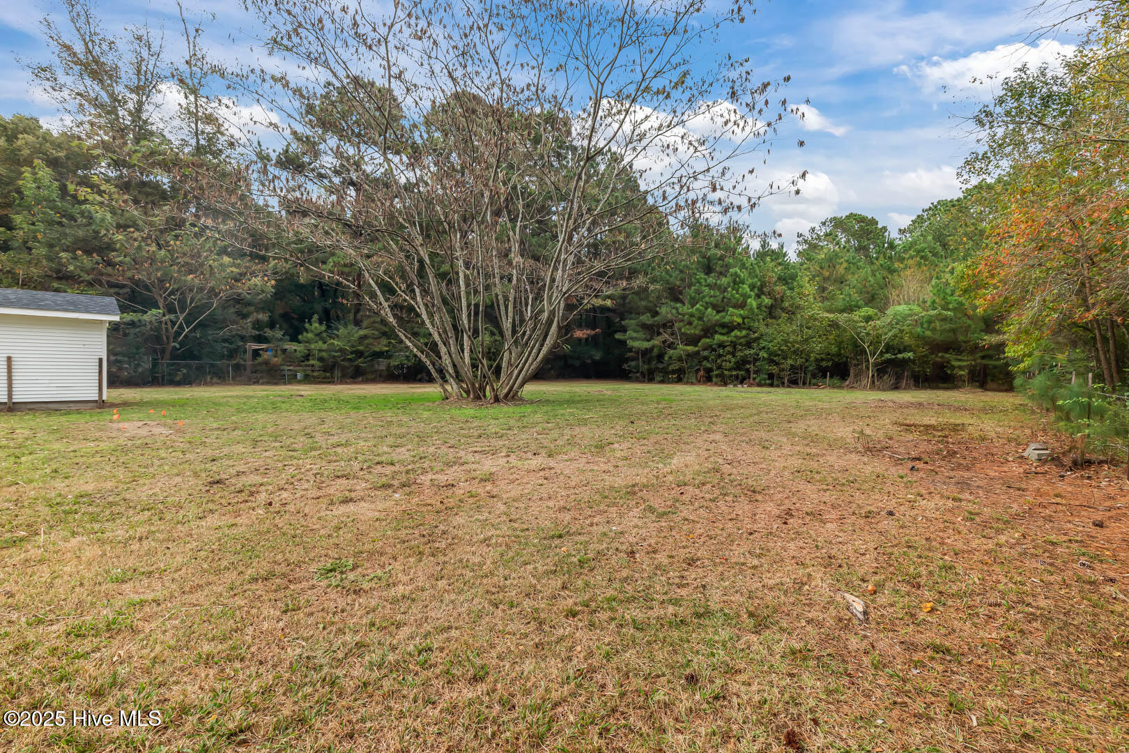 1253 East Davis Road Jacksonville, NC 28546 - Photo 46 of 56 56