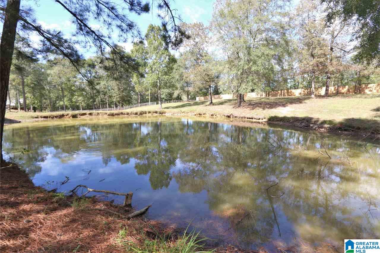 8460 Wolf Creek Road South Pell City, AL 35128 - Photo 21 of 49