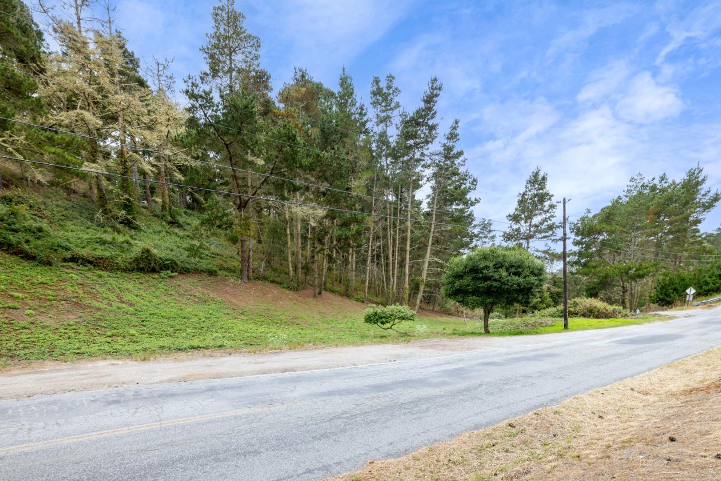 504 Aguajito Road Carmel, CA 93923 - Photo 2 of 8 a view of a yard