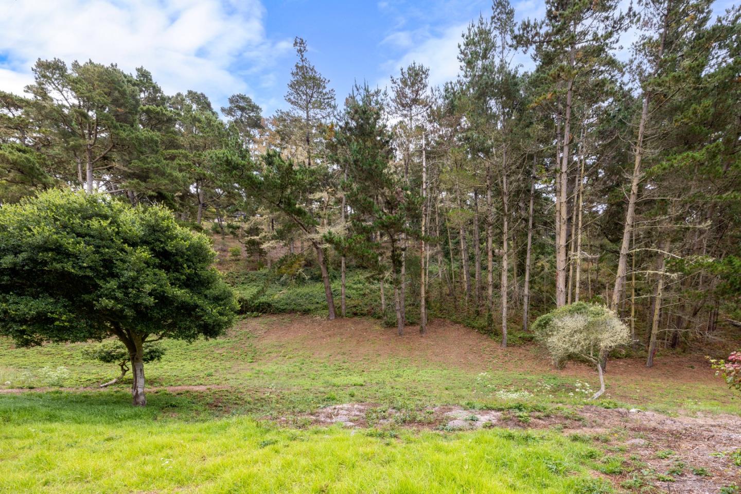 504 Aguajito Road Carmel, CA 93923 - Photo 3 of 8 a backyard of a house with lots of green space