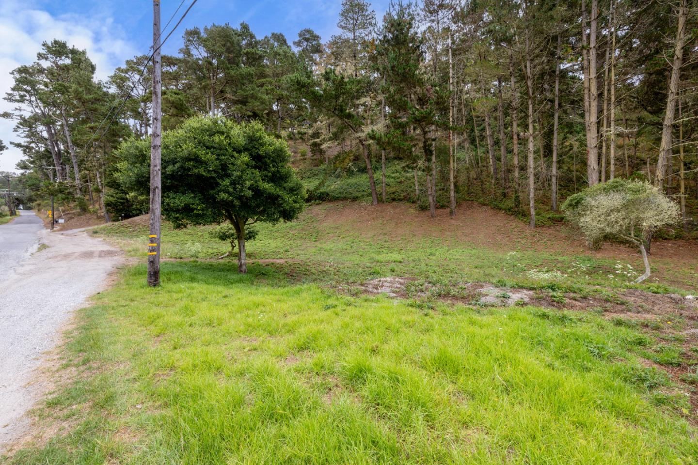 504 Aguajito Road Carmel, CA 93923 - Photo 4 of 8 a view of a park with large trees