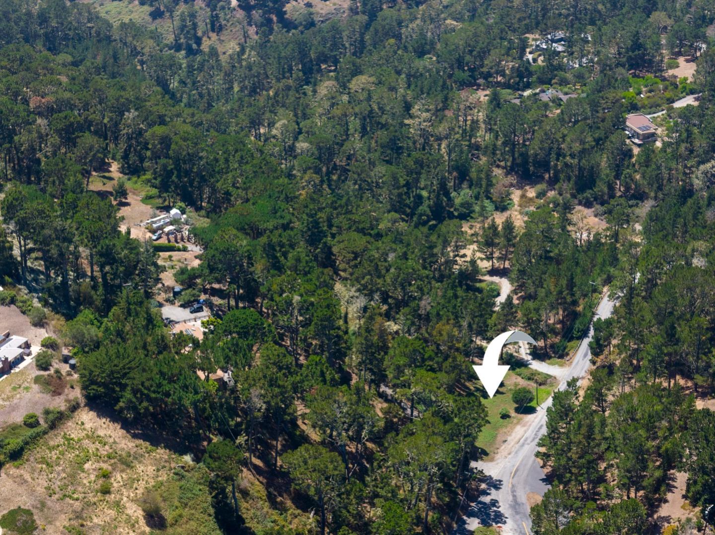 504 Aguajito Road Carmel, CA 93923 - Photo 6 of 8 a view of a forest with a tree