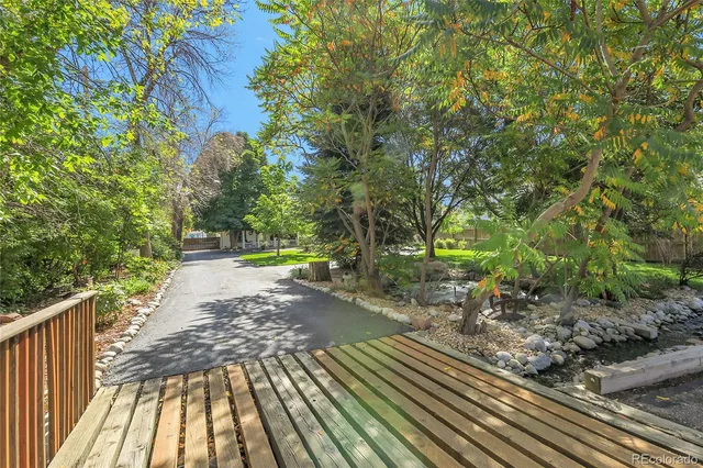 a view of a backyard with trees