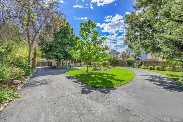 a view of a backyard with large trees