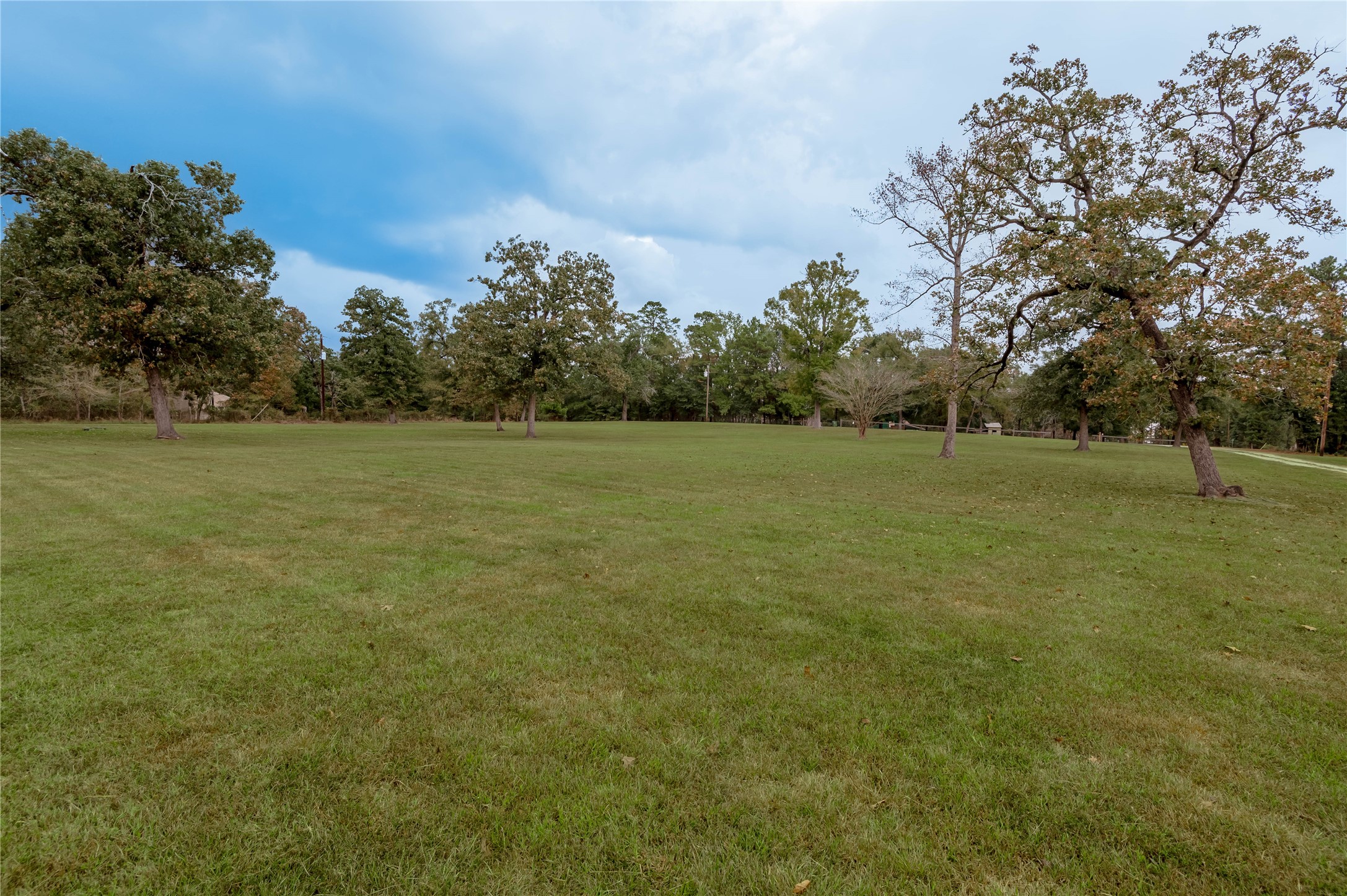70 William Thomas Road Huntsville, TX 77320 - Photo 31 of 50 a view of field with trees in background