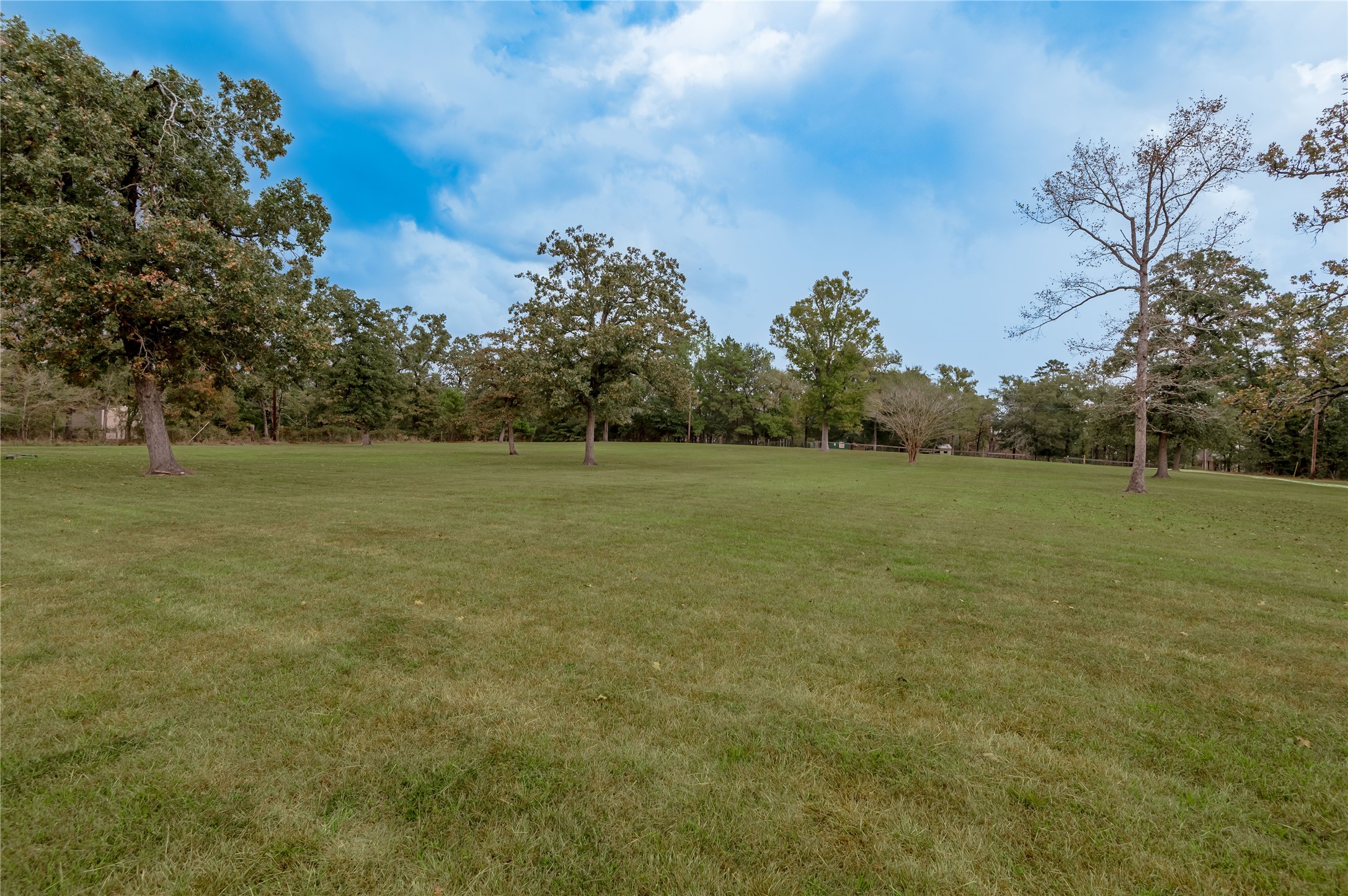 70 William Thomas Road Huntsville, TX 77320 - Photo 32 of 50 a view of a grassy field with trees