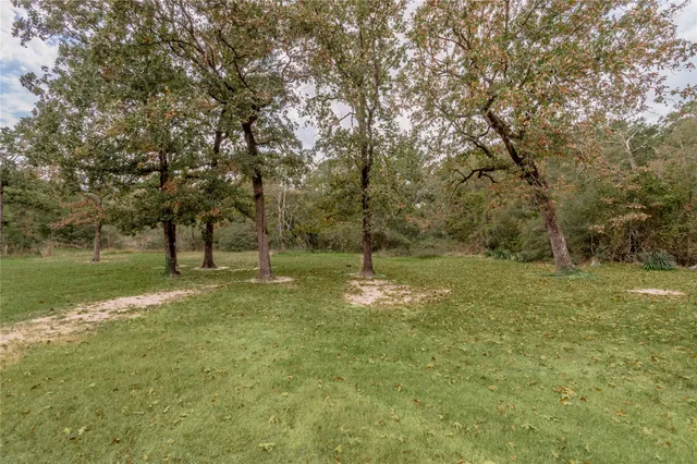 a view of a park with large trees