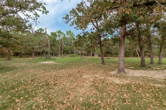 a view of a park with large trees