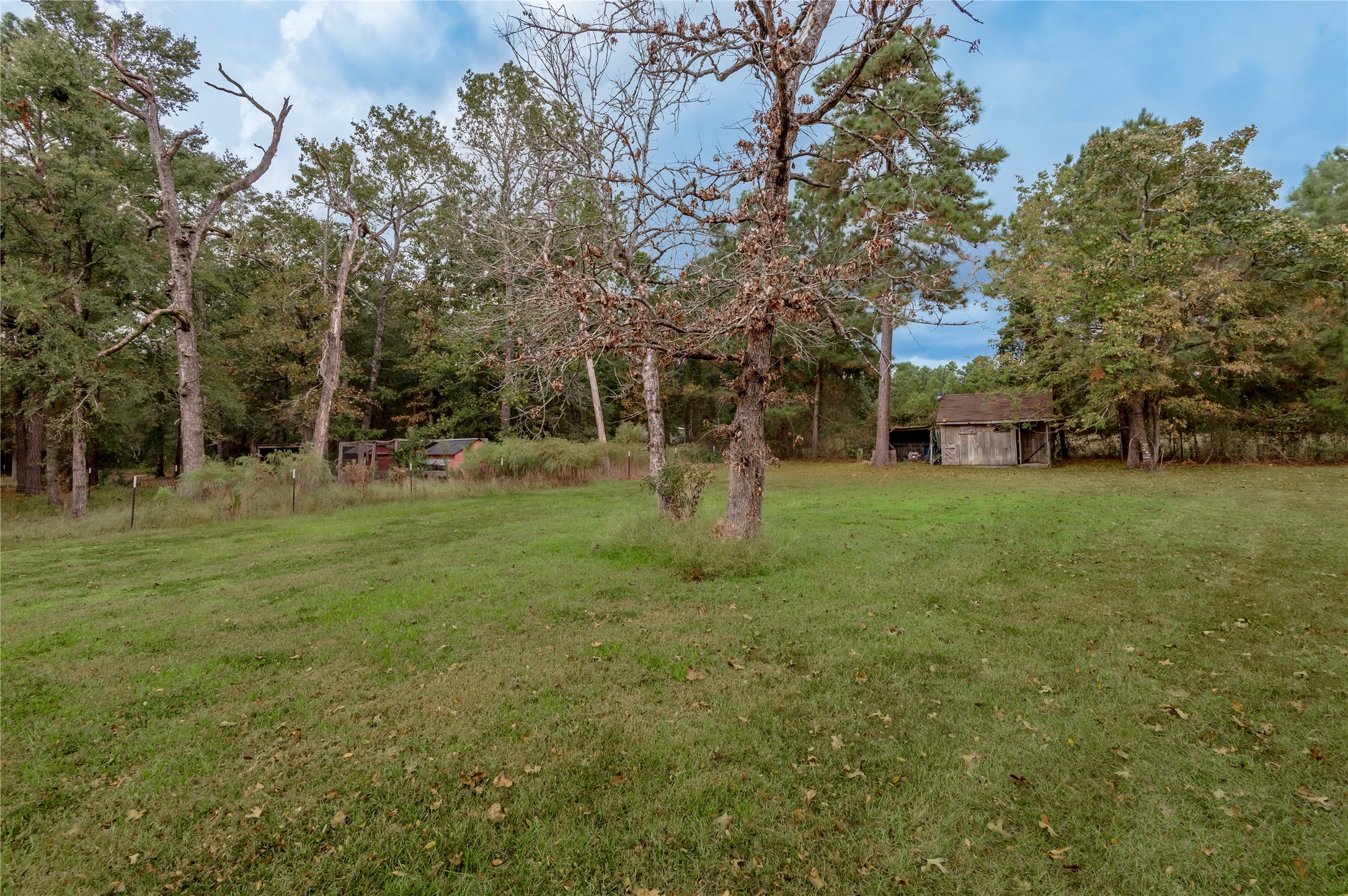 70 William Thomas Road Huntsville, TX 77320 - Photo 38 of 50 a view of a park with large trees