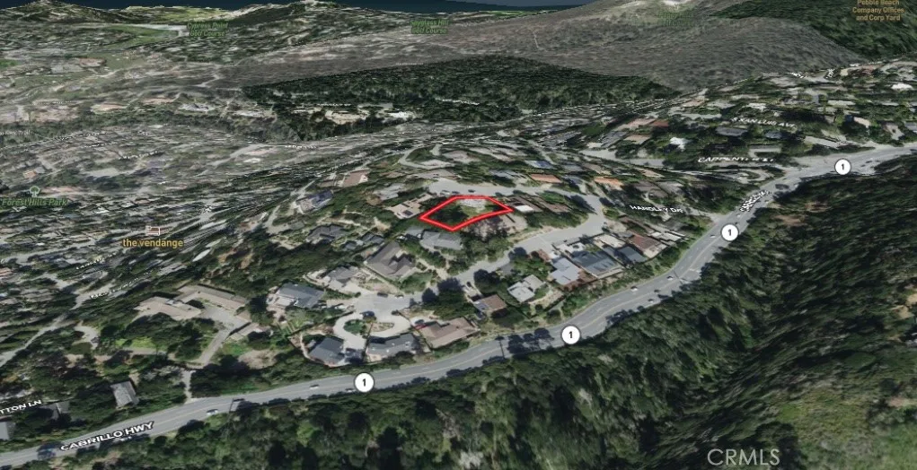 24755 Crestview Colfax, CA 95713 - Photo 6 of 6 a picture of a tree