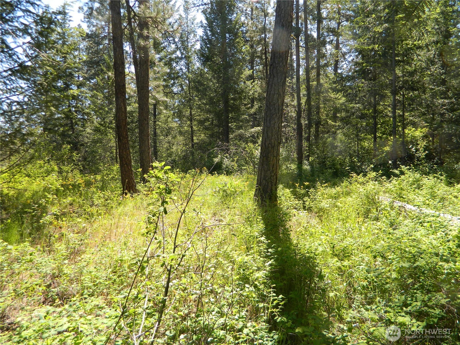 0 Tbd Murphy Ranch Road Tonasket, WA 98855 - Photo 5 of 11 a view of lake view
