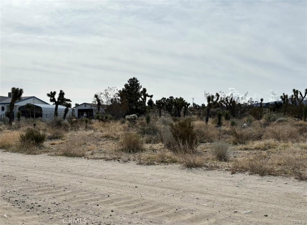 0 Mono Road Pinon Hills, CA 92372 - Photo 2 of 6