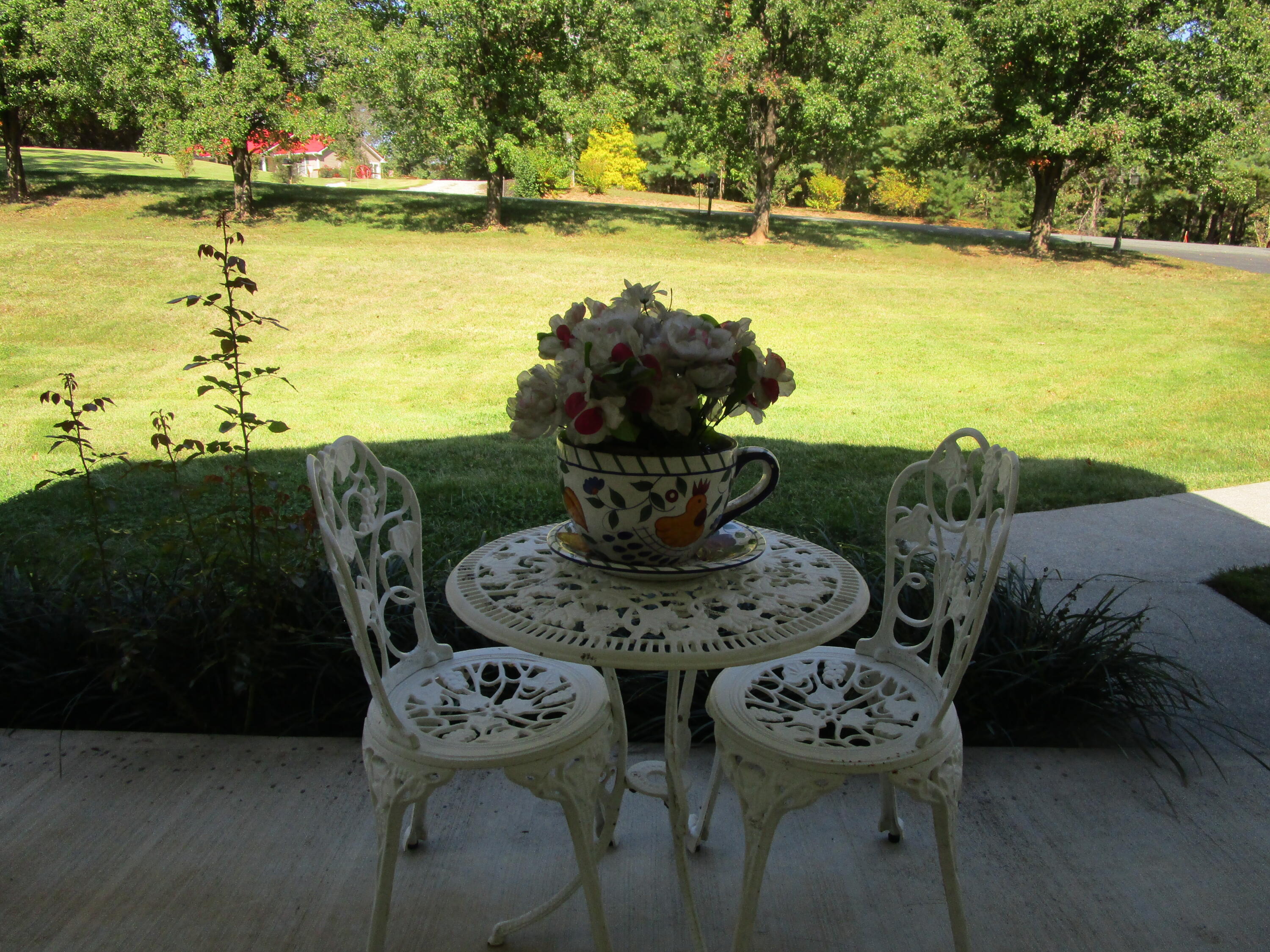 428 Green Level Road Boones Mill, VA 24065 - Photo 3 of 55 a view of a with table and chairs in patio