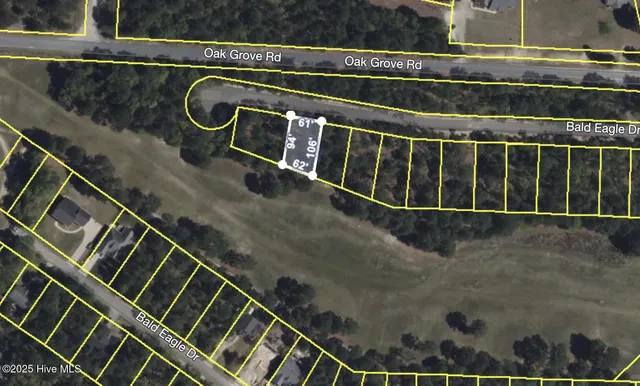 $410,000 | 506 Bald Eagle Drive, Vass, NC 28394