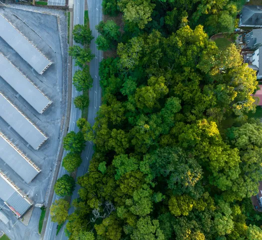 a view of a city with lush green forest