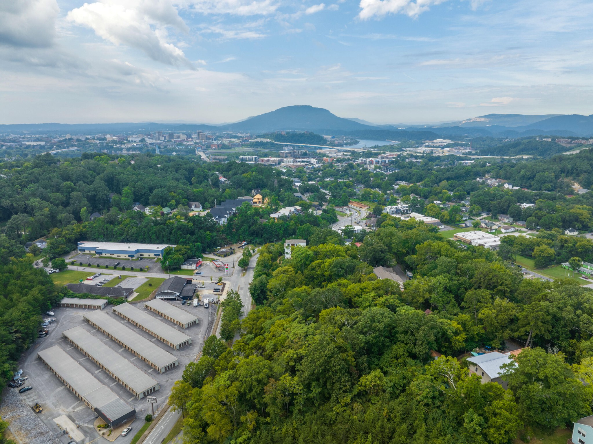 949 Dallas Road Chattanooga, TN 37405 - Photo 16 of 20 a view of a city with lush green forest