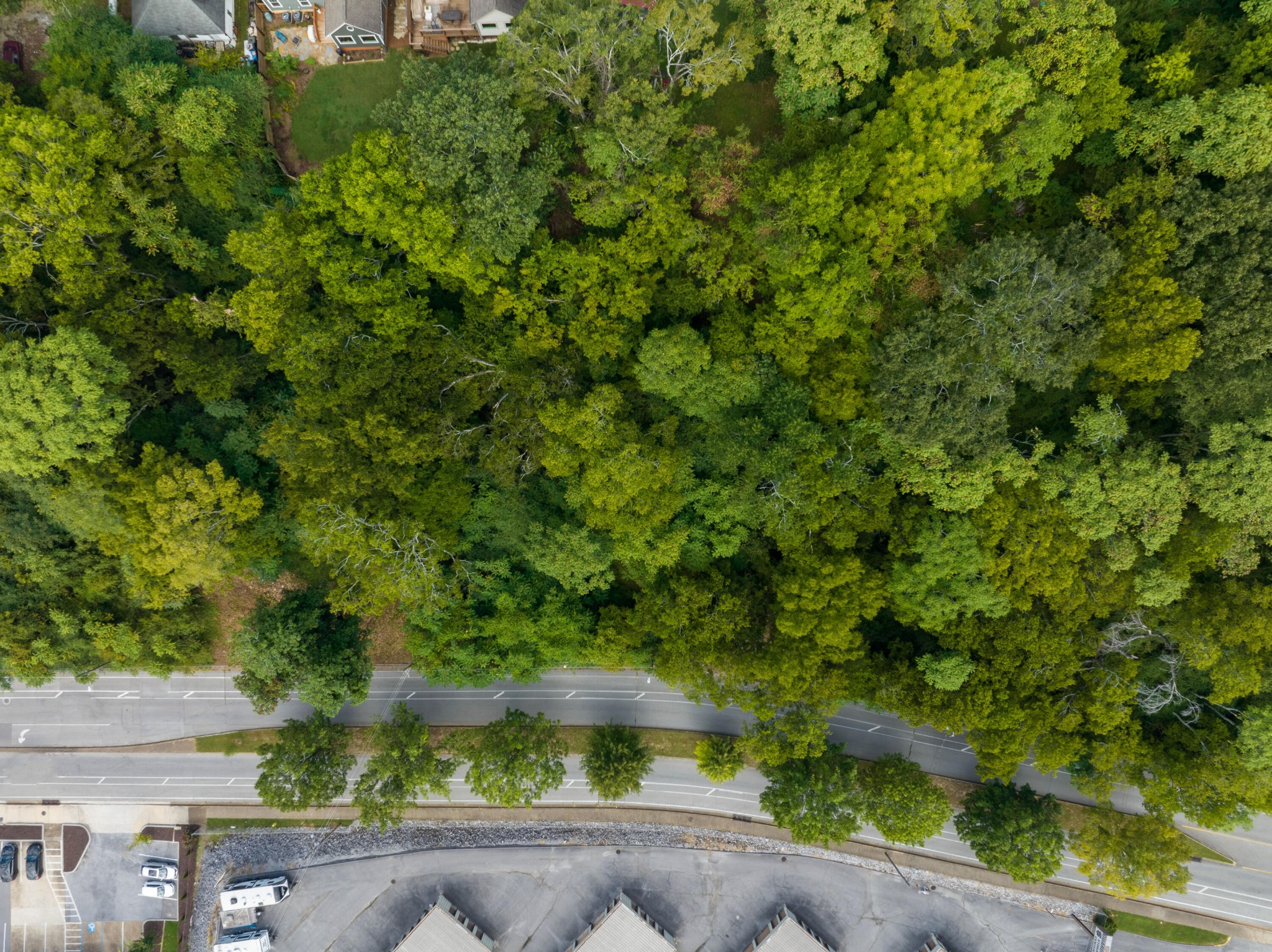 949 Dallas Road Chattanooga, TN 37405 - Photo 19 of 20 a view of a yard with plants