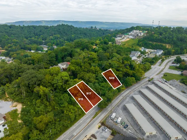 an aerial view of a yard