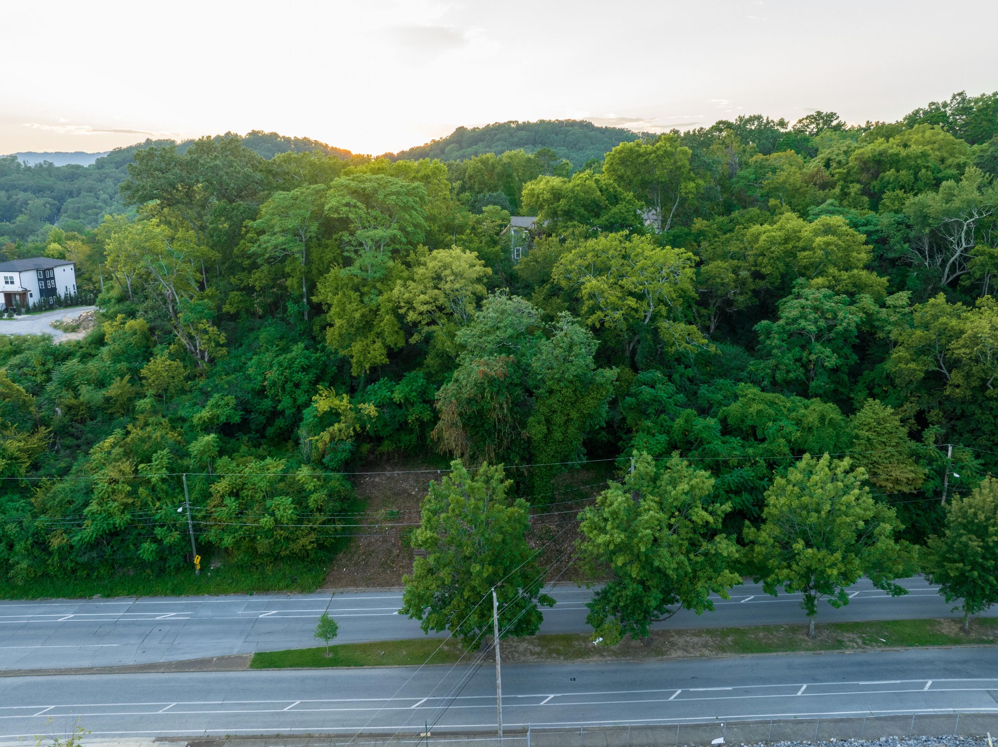 949 Dallas Road Chattanooga, TN 37405 - Photo 7 of 20 a view of a forest