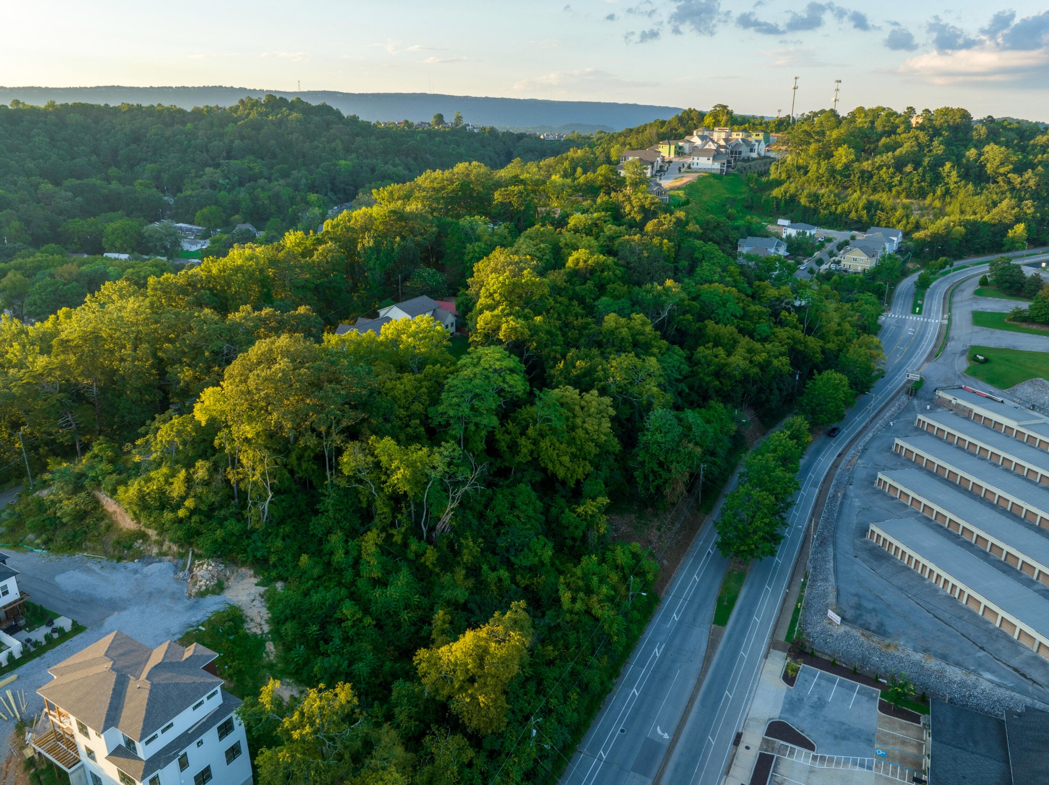 949 Dallas Road Chattanooga, TN 37405 - Photo 9 of 20 a view of a garden with a lake