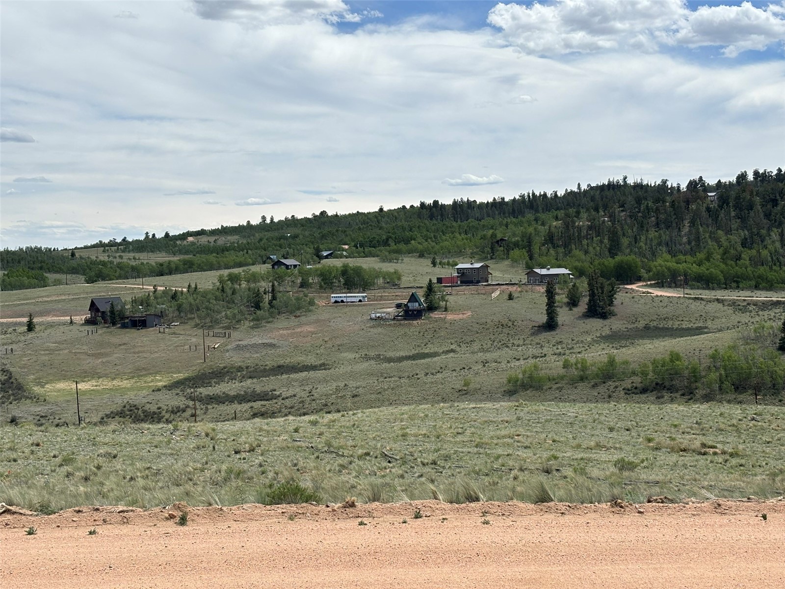 135 Hawk Way Como, CO 80432 - Photo 10 of 22 a view of a yard with an tree