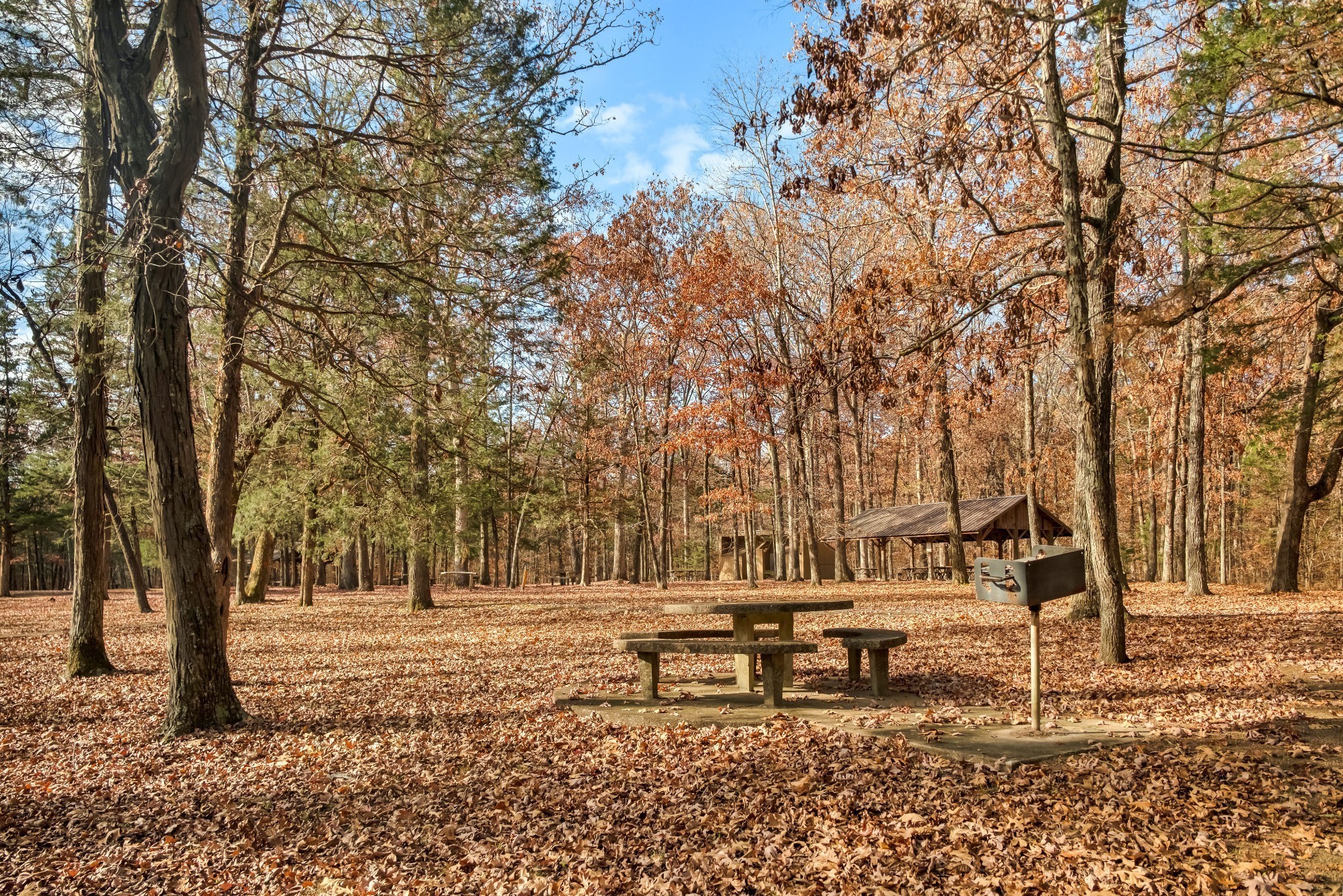 446 Augustine Drive Lebanon, TN 37087 - Photo 54 of 56 a backyard of a house with lots of green space
