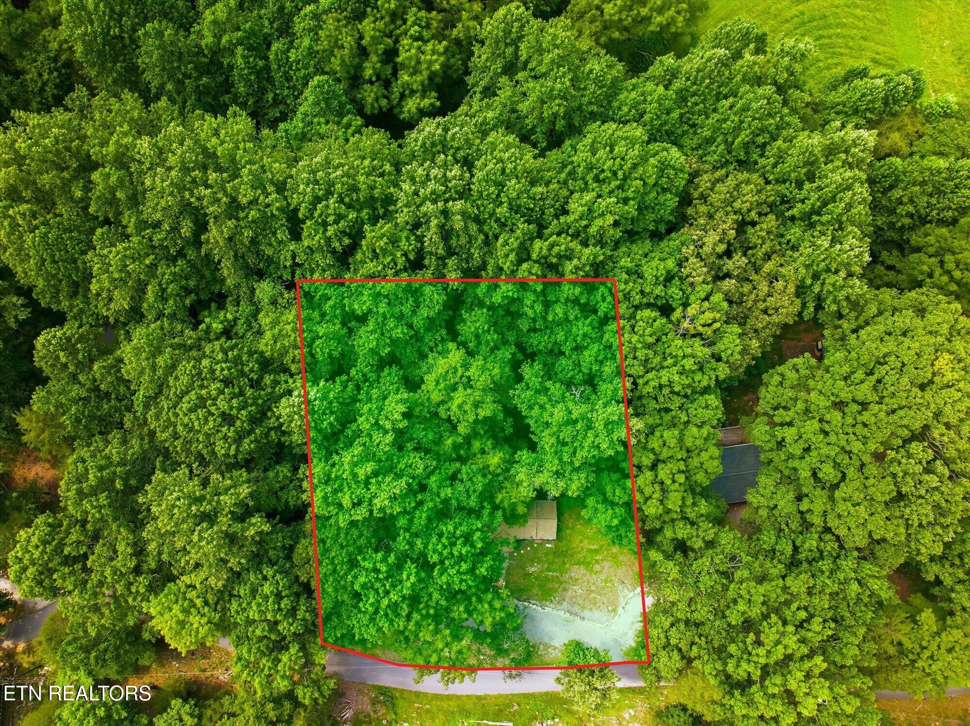 209 Royce Road Andersonville, TN 37705 - Photo 27 of 35 Aerial view with approximate lot lines
