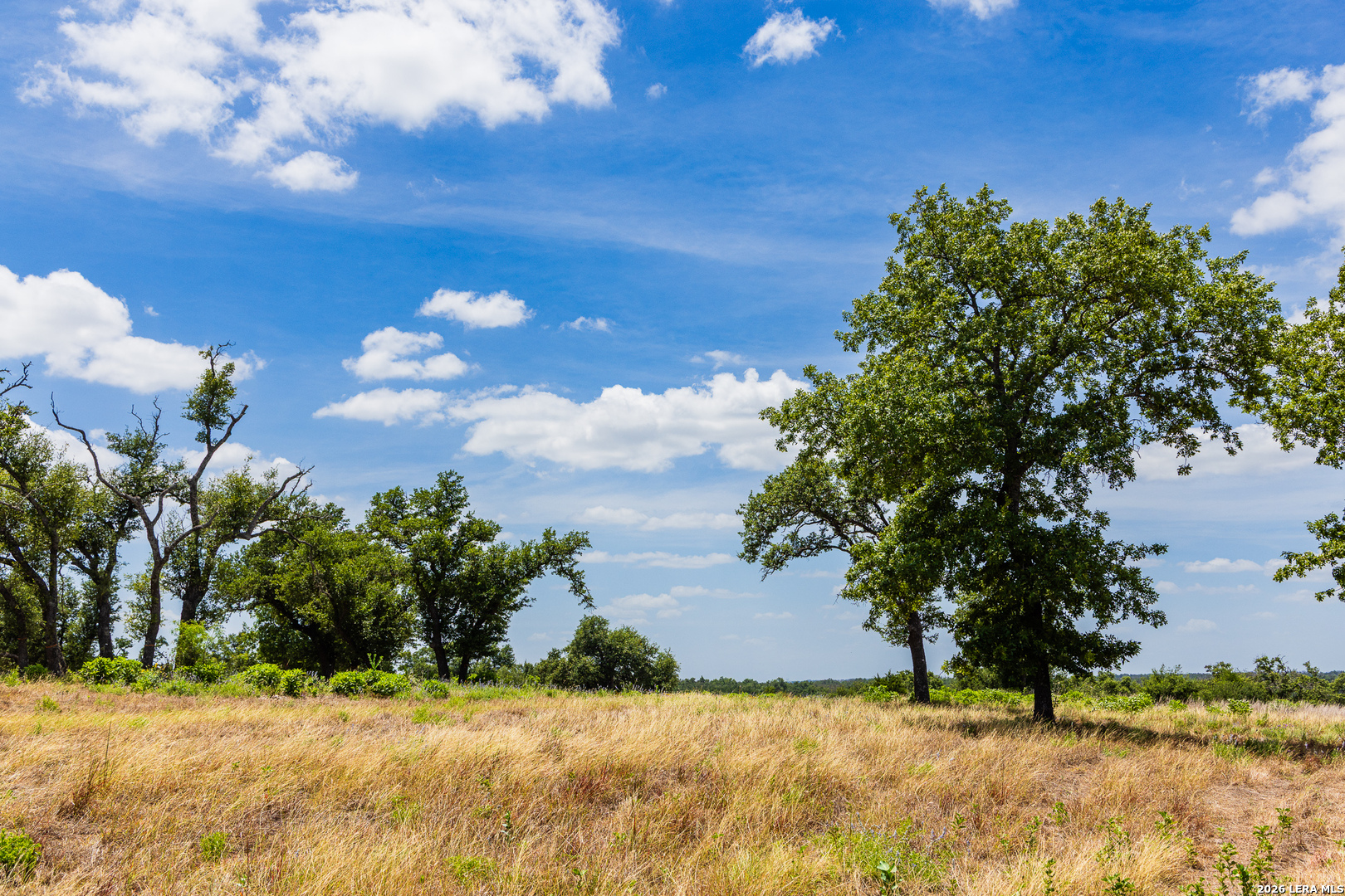 Lot 37 Boot Ranch Circle Fredericksburg, TX 78624 - Photo 7 of 20