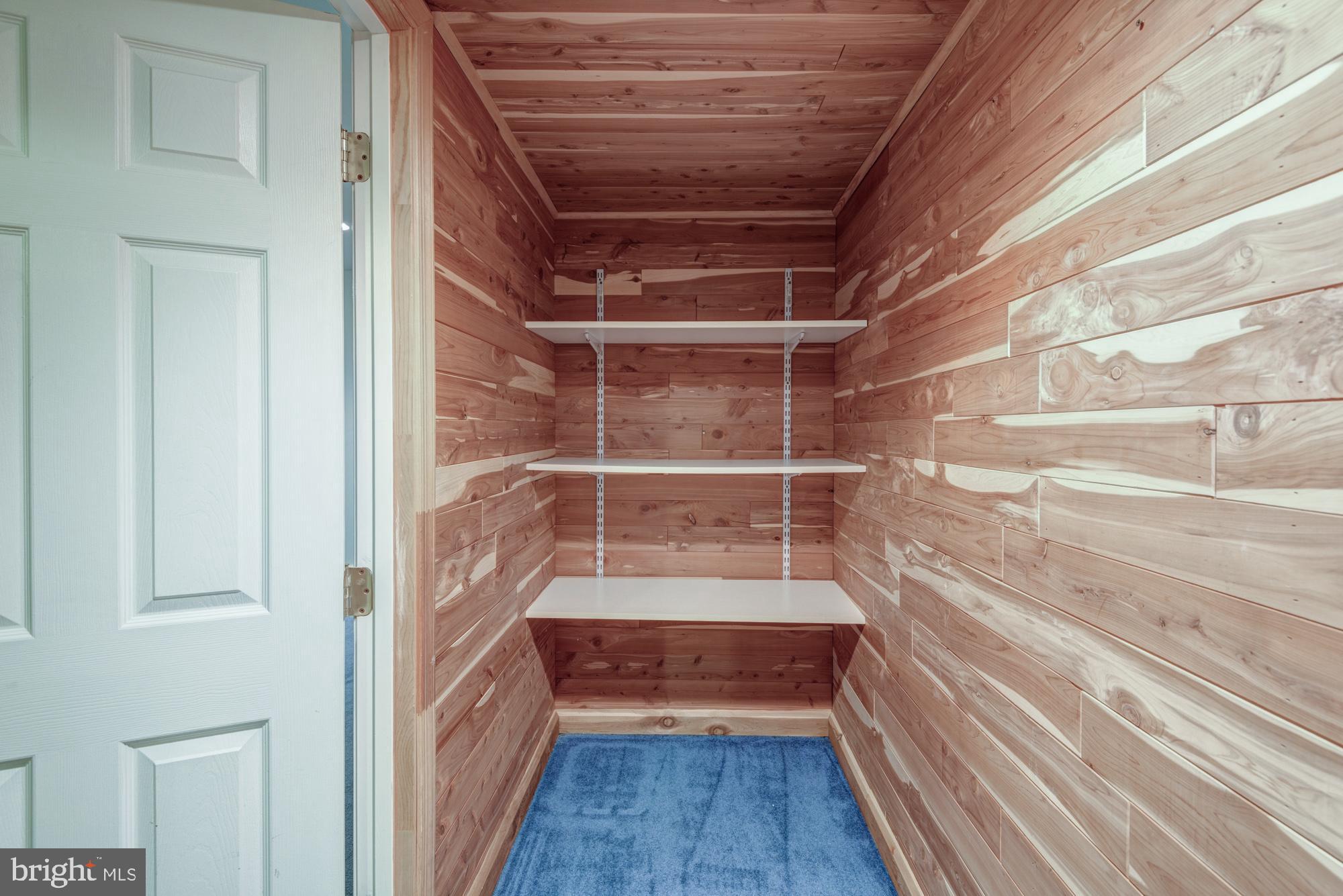 21 Oakview Drive Newark, DE 19702 - Photo 56 of 65 a view of a walk in closet