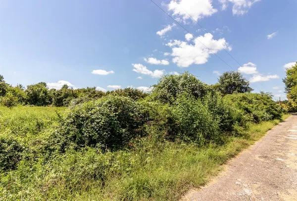 a view of a bunch of trees