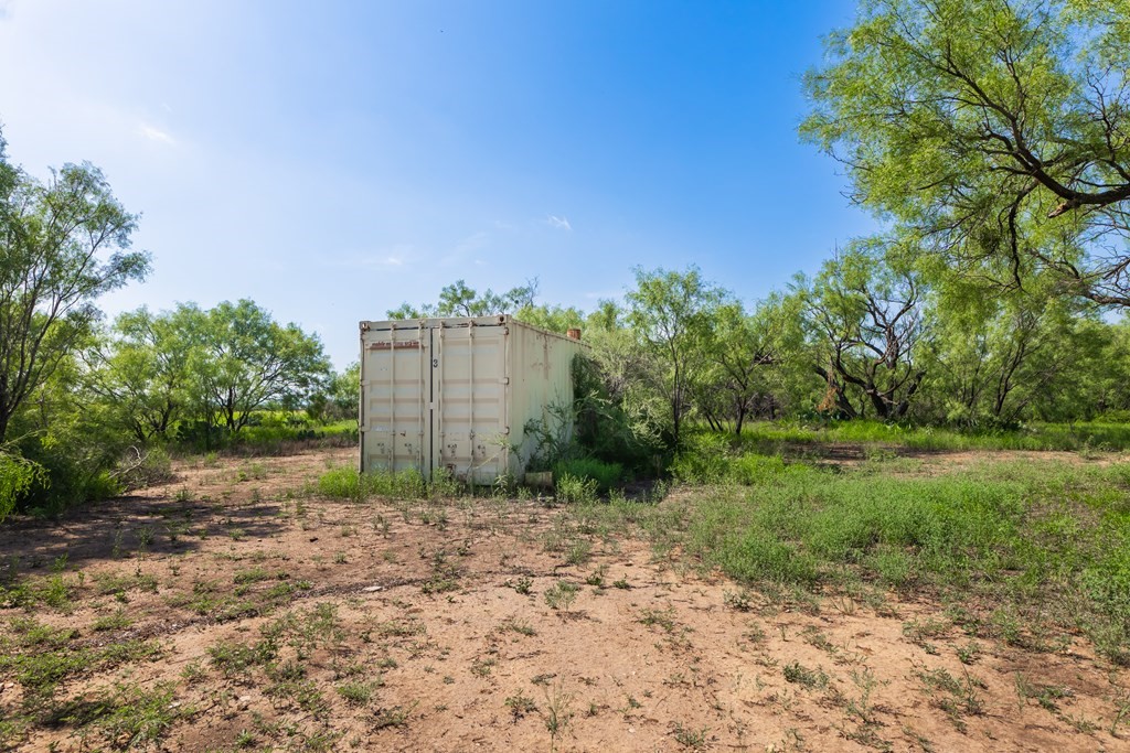 88291 Suaa Rd Well Lohn, TX 76852 - Photo 4 of 44 a view of a yard with plants and a large tree