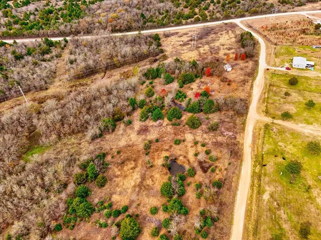 a view of a plants with trees in the background