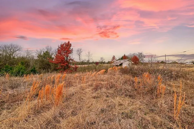 a view of a large body of water with lots of trees