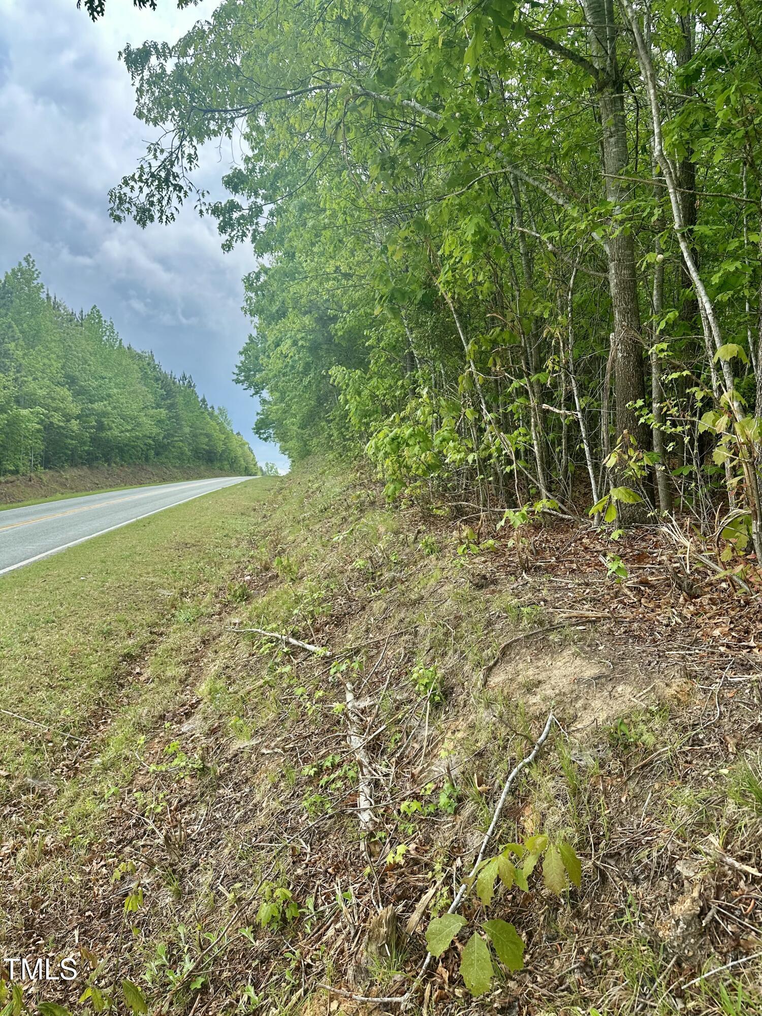 Lot 2 Range Road Rougemont, NC 27572 - Photo 3 of 7 IMG_9521