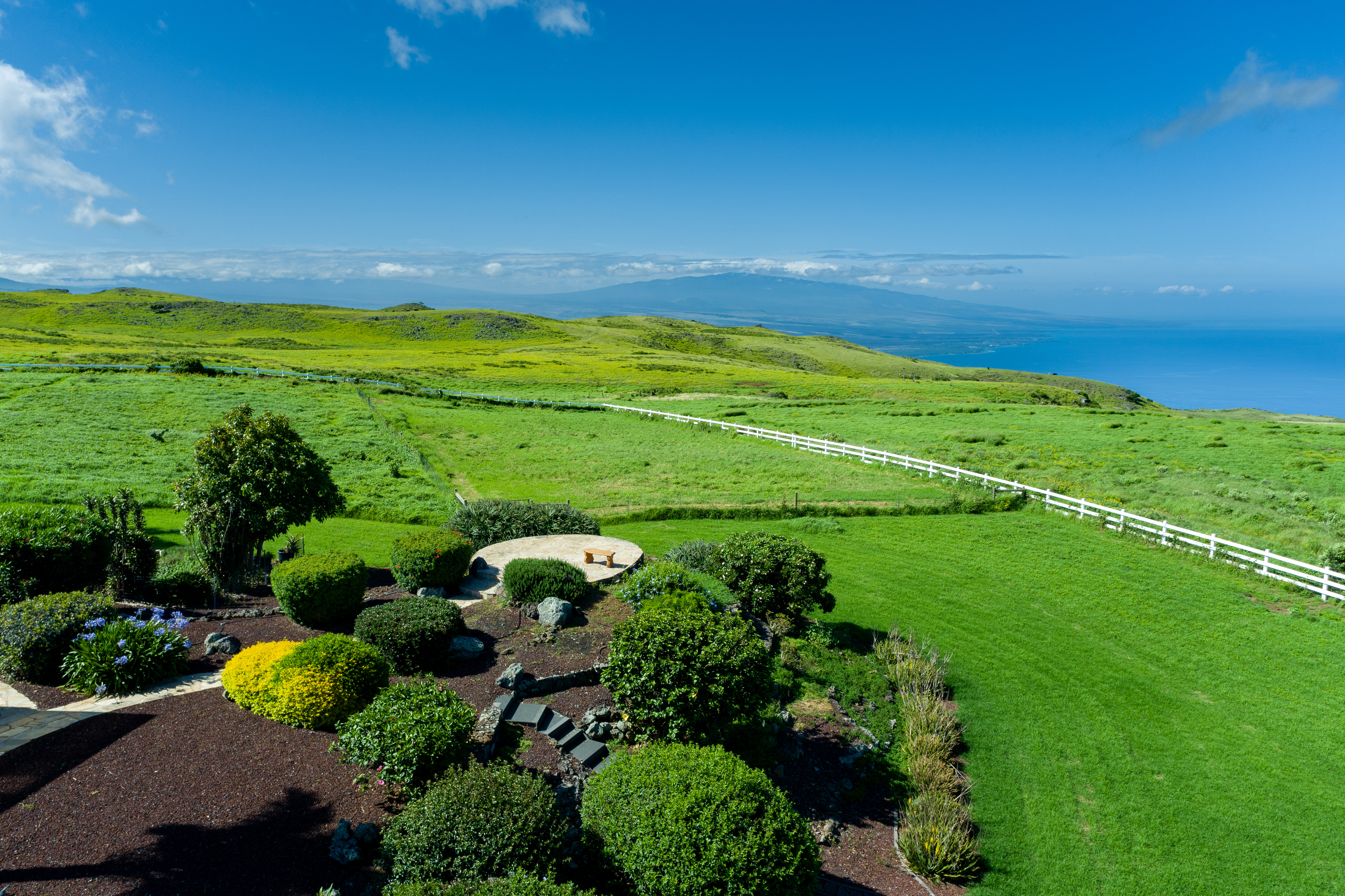 59-1638 Kohala Ranch Road Kamuela, HI 96743 - Photo 8 of 30 Gallery Image 8