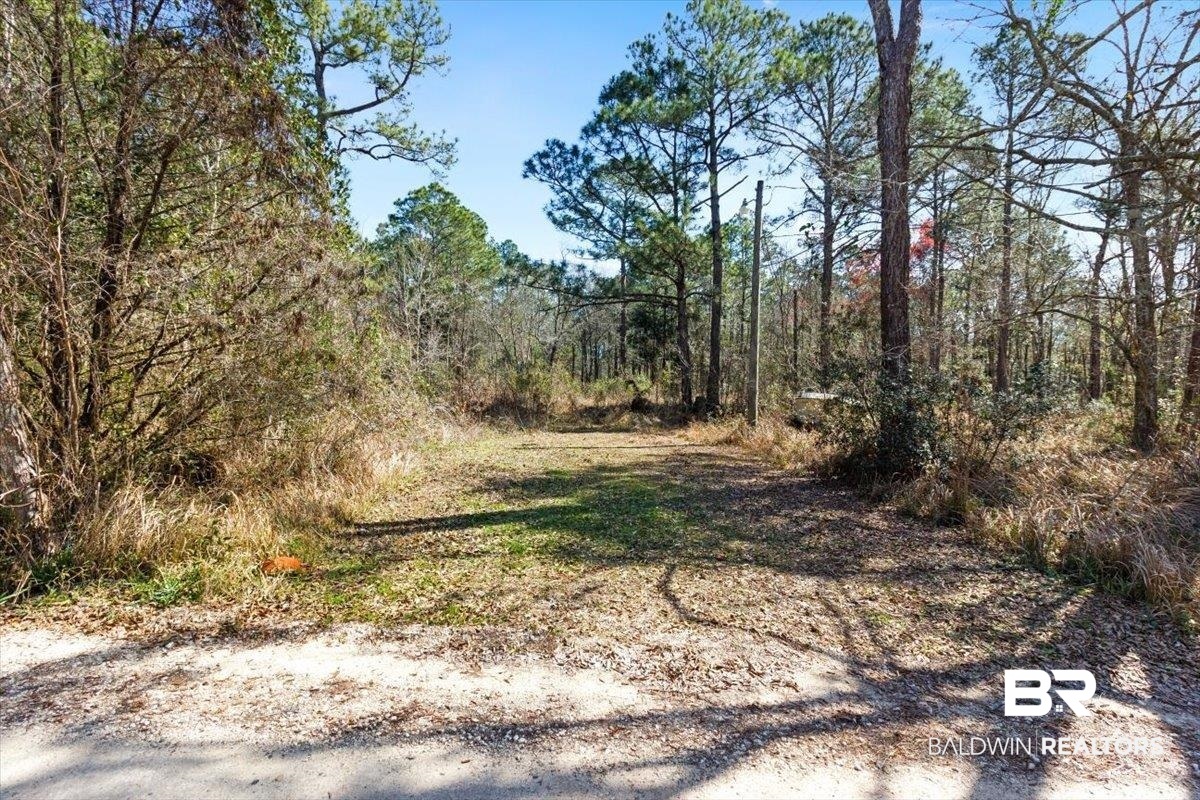 16045 Williams Street Coden, AL 36523 - Photo 2 of 15 View of street