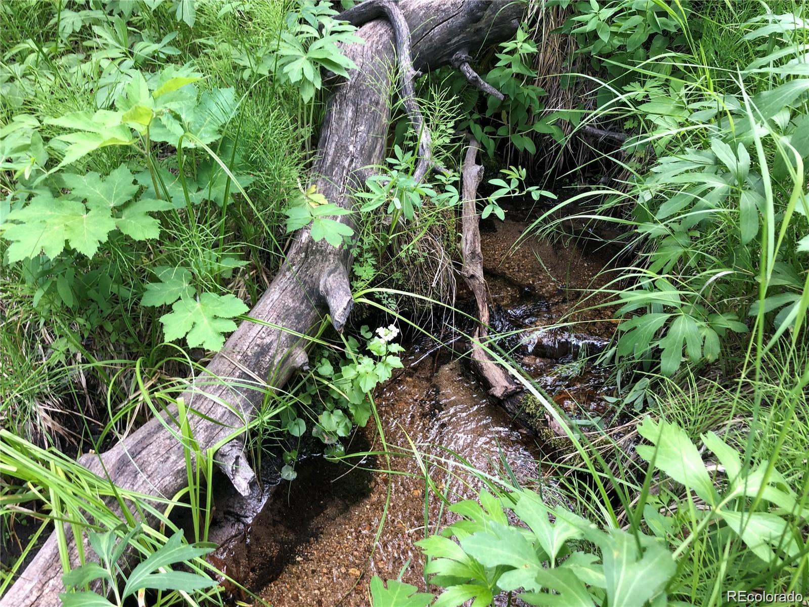 16750 Kiowa Road Salida, CO 81201 - Photo 8 of 50