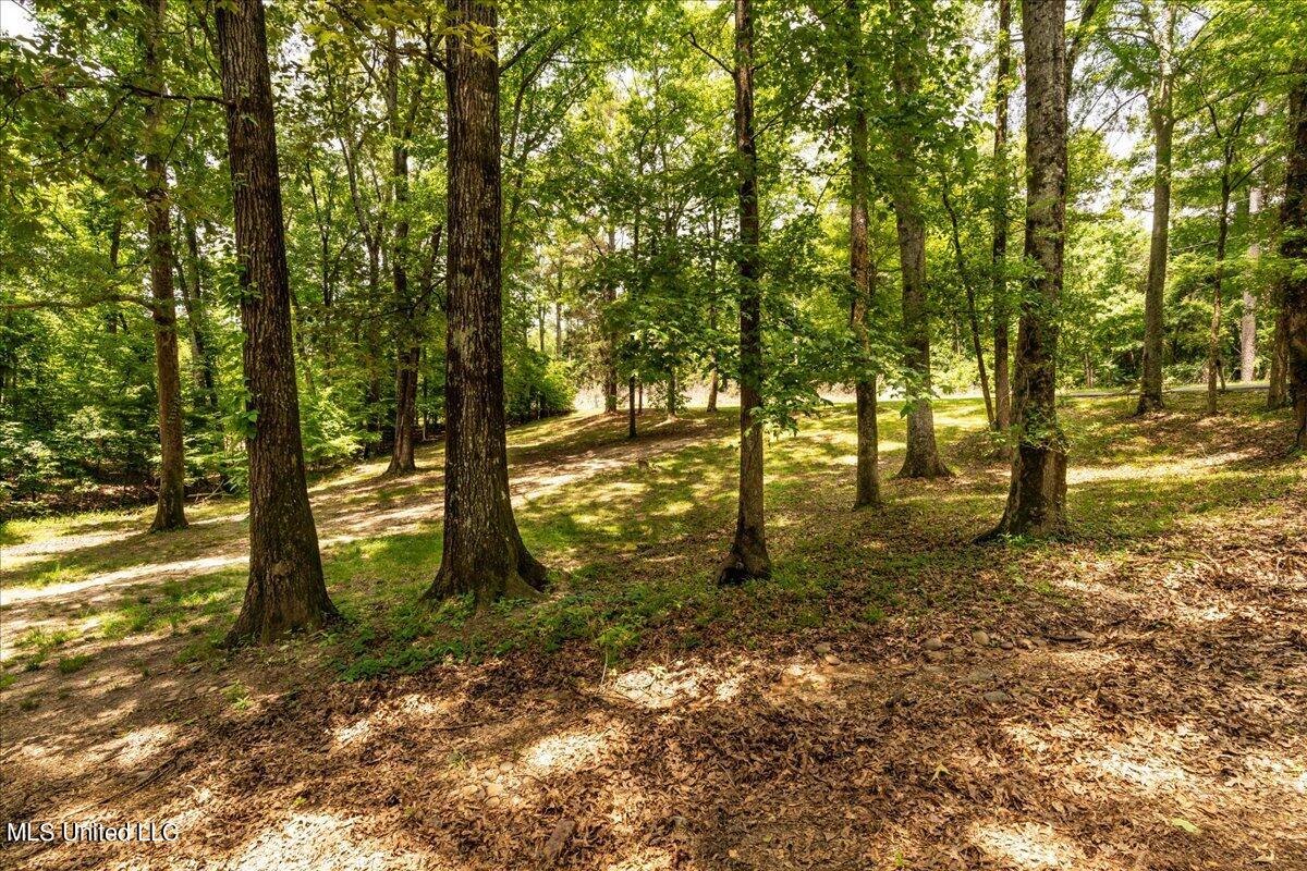 223 Abernathy Road Flora, MS 39071 - Photo 21 of 37 21-A7R07852_1