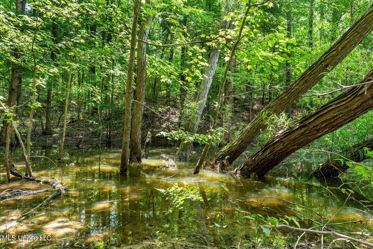 223 Abernathy Road Flora, MS 39071 - Photo 24 of 37 24-A7R07808_1