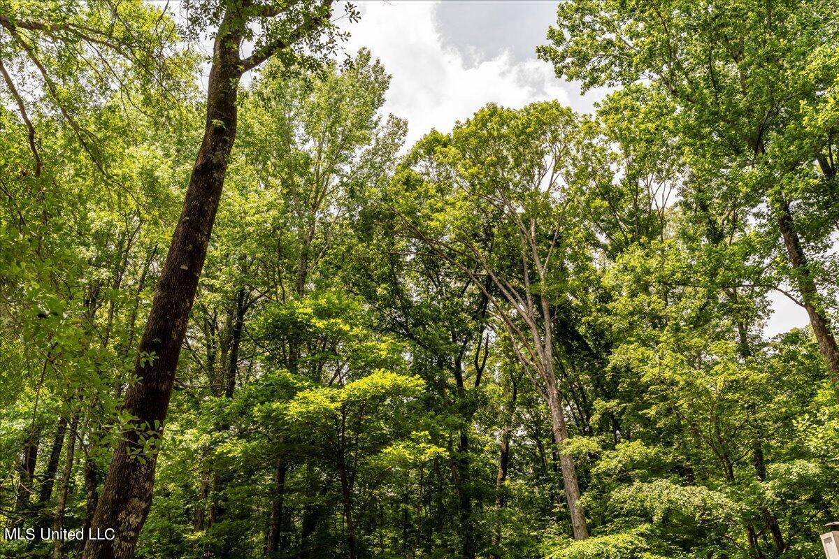 223 Abernathy Road Flora, MS 39071 - Photo 30 of 37 30-A7R07847_1