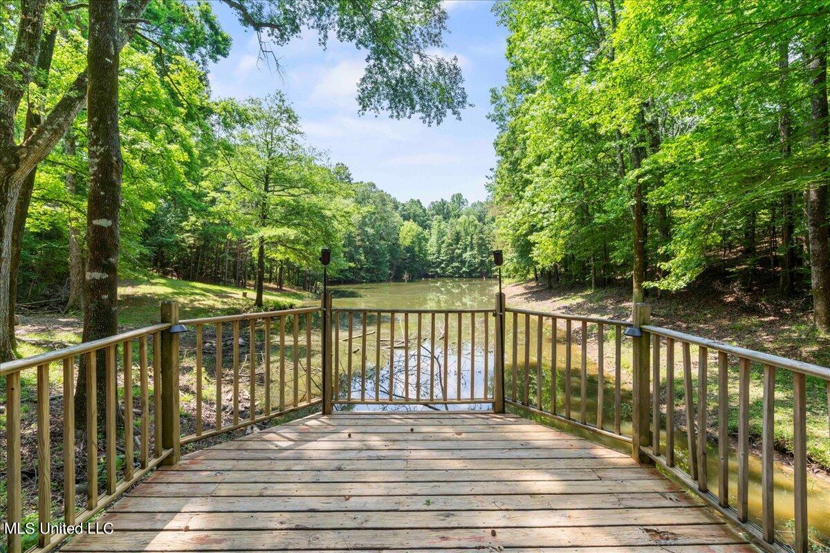 223 Abernathy Road Flora, MS 39071 - Photo 3 of 37 02-A7R07715