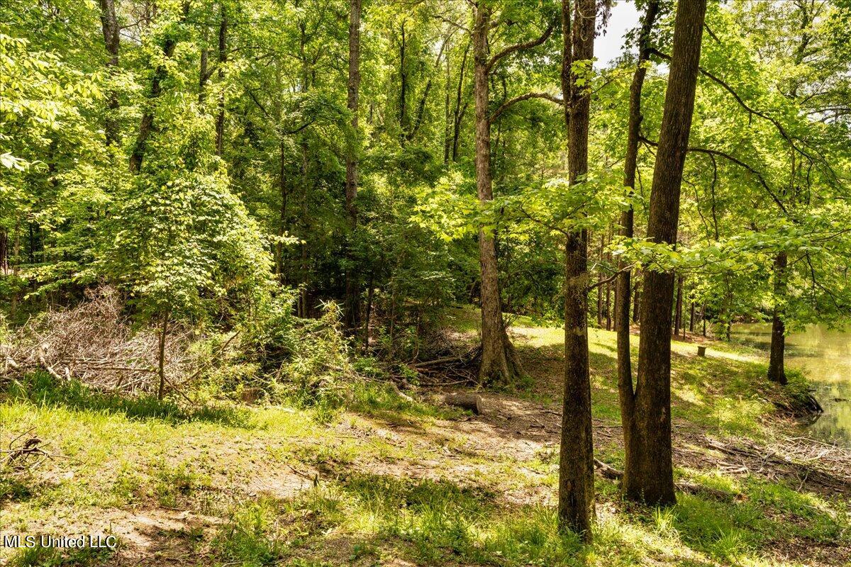 223 Abernathy Road Flora, MS 39071 - Photo 32 of 37 32-A7R07850_1