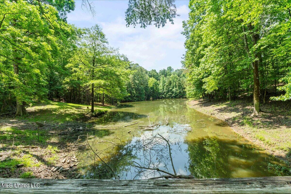223 Abernathy Road Flora, MS 39071 - Photo 8 of 37 08-A7R07719
