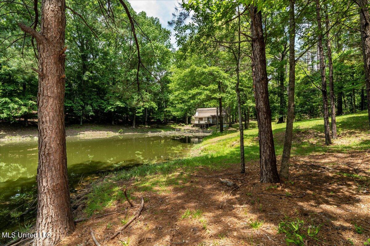 223 Abernathy Road Flora, MS 39071 - Photo 9 of 37 09-A7R07801_1